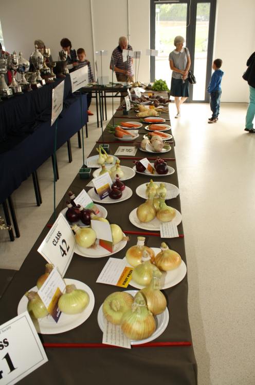 ../Images/64th Bunclody Horticultural Show 2015 - 52.jpg